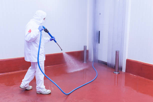 Royal Pines, NC Pressure Washing Company